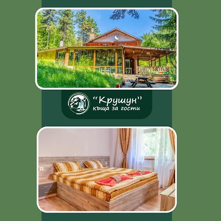 Крушун - Единствена На Метри От Водопадите, Krushun - The Only Stay Just Meters From The Waterfalls กรูชูนา ภายนอก รูปภาพ