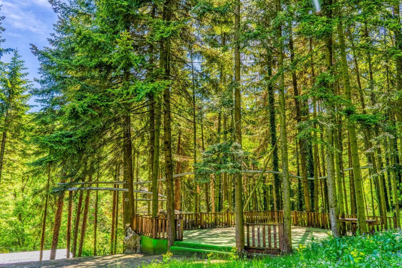 Крушун - Единствена На Метри От Водопадите, Krushun - The Only Stay Just Meters From The Waterfalls กรูชูนา ภายนอก รูปภาพ